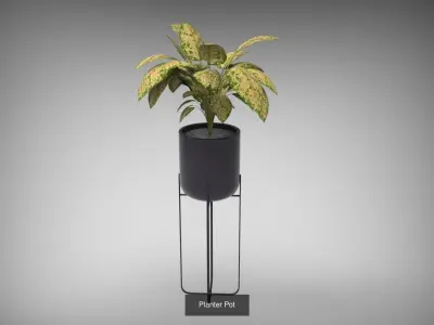 Planter Collection plant in pot