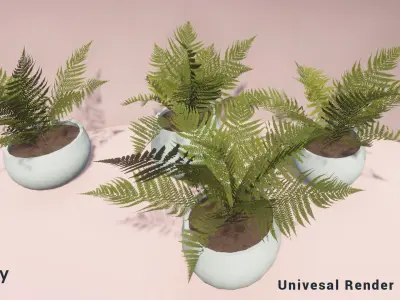 Indoor Plants Unity Asset Low-poly 3D model
