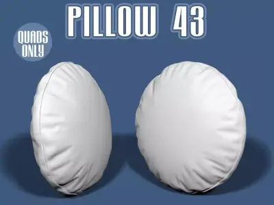 Pillow 43 3D model