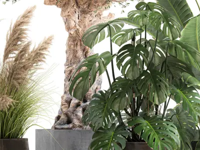 Ornamental plants for landscape design 1060 3D model