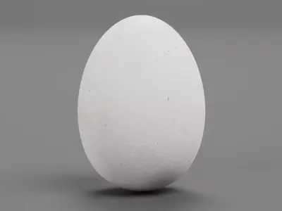 -White Egg- 3D model