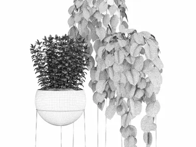 indoor plant set036 3D model