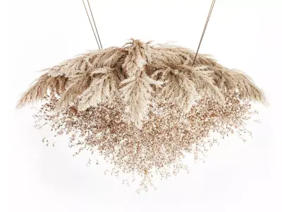 Hanging Installation Bouquet Dried Flowers Branch Lunaria pampas 3D model