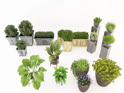 Potted Plant Collection 3D model