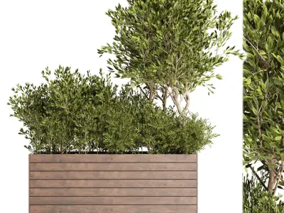 Outdoor plant 10  Low-poly 3D model