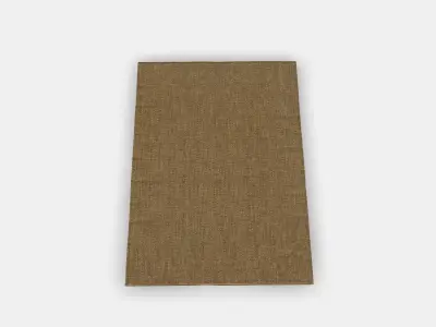 LYDERSHOLM rug flat woven indoor-rough Low-poly 3D model