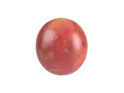 Photorealistic Passion Fruit 3D Scan 3 3D model