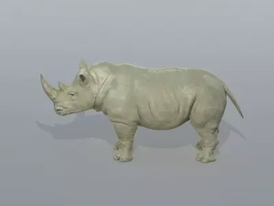 Rhinoceros Low-poly 3D model