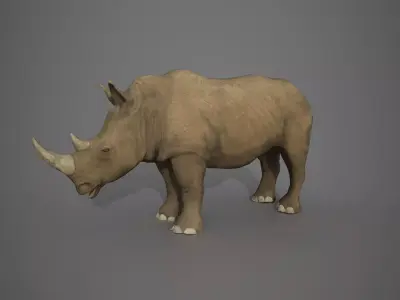 African Rhinoceros Low-poly 3D model