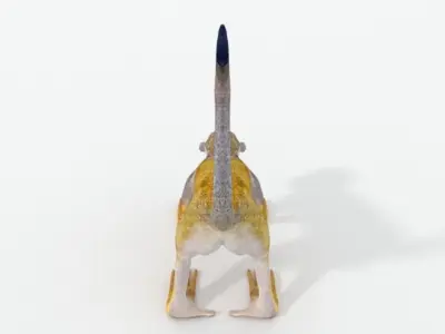 Squirrel Monkey Low-poly 3D model