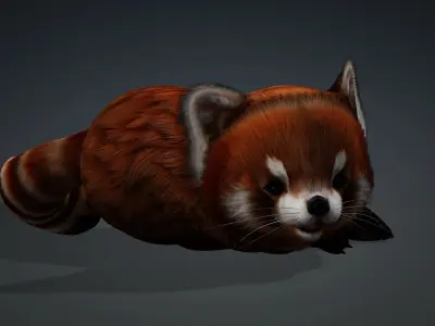Red Panda-A2 3D model