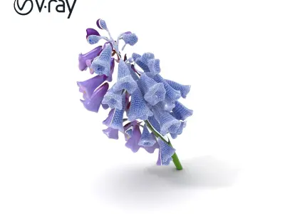 Lilac Hyacinth Flower Model Pack Low-poly 3D model