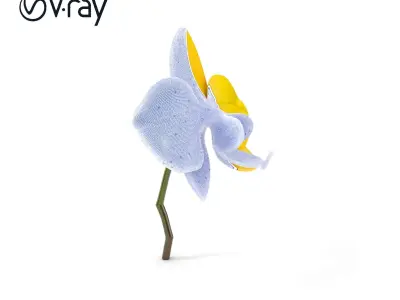 Orchid Flower Model Pack with PBR Textures Low-poly 3D model purchase