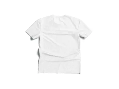 Flat Lay T-shirt front and back - wrinkled fabric tee-shirt Low-poly 3D model