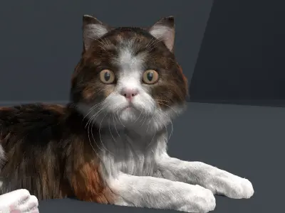 Cat Fur Rig 3D model