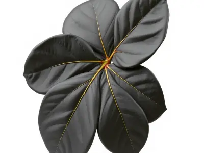 Tropical Leaf Model Pack with Detailed Textures Low-poly 3D model