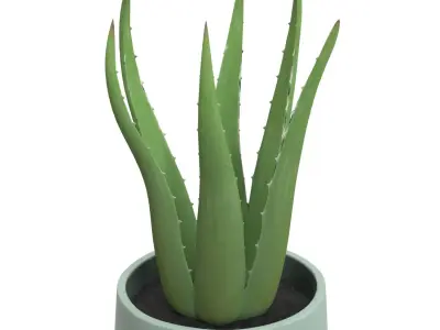 Stoneware Footed Aloe vera Planter  PBR 3D model