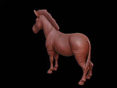 Zebra Animal Sculpture 3D print model purchase