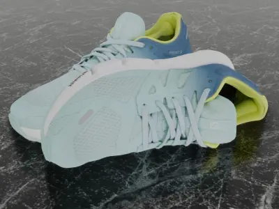 SALOMON 3D SHOES -PREDICT 2 Low-poly 3D model