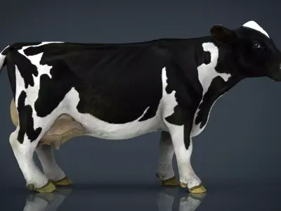 Milk Cow Low-poly 3D model