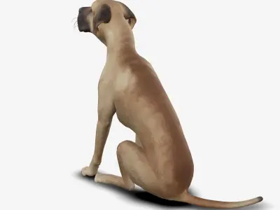 Dog german mastif Low-poly 3D model