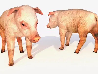 Low-Poly Pig Male Rigged 3D model Low-poly 3D model