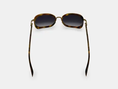Fernanda Sunglasses in Cognac Tortoise with Polished Gold 3D model