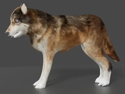 wolf 3d Low-poly 3D model