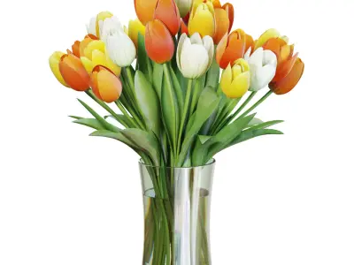 Flower Set 29 - Multicolor Tulips Bouquet 3D model