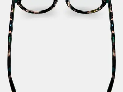 Isla Eyeglasses in Aventurine Tortoise 3D model