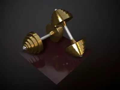 Dumbbells 3D model order