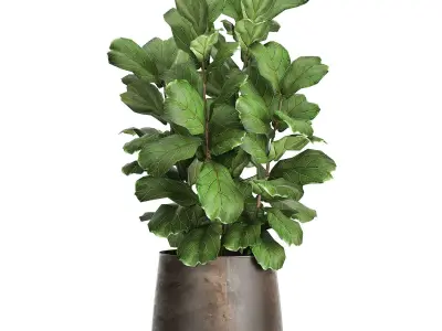 Houseplants in a flowerpot for the interior 942 3D model