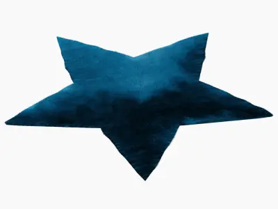 Rug Star 3D model