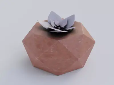 Succulent 3D model