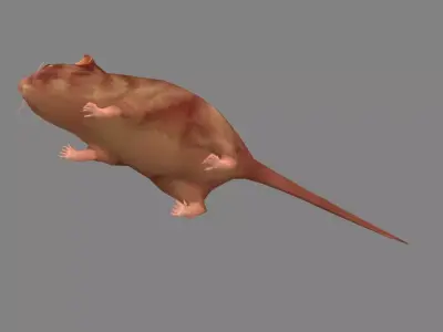 Cartoon mouse Low-poly 3D model 3
