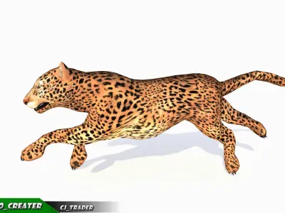 Lowpoly Jaguar-Leopard Animated 3D model Low-poly 3D model