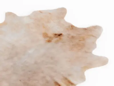 Four rugs from animal skins 04 3D model