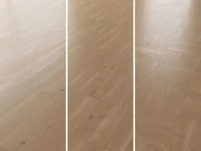 Parquet Oak Natural Brushed set 3 3D model