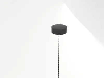 Decorative Wooden Ceiling Lamp 001 3D model