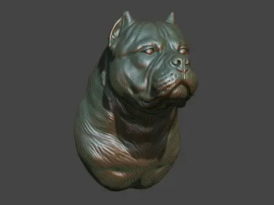 American bully bust 3D print model