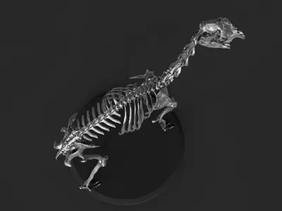 Silver Llama Skeleton 3D model