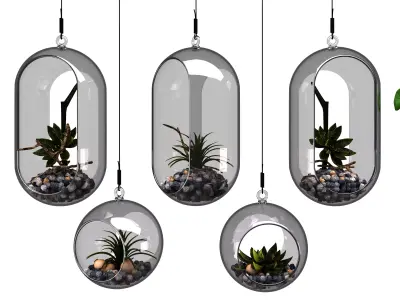 detailed 3D Hanging Glass Terrarium Collection 3D model
