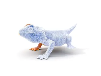 Bearded Lizard Model Pack with Detailed Textures Low-poly 3D model