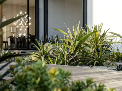 Maxtree Plant Models Vol 25 - Mesh 3D model