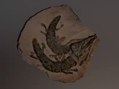 Realistic Crocodile Fossil 3D model