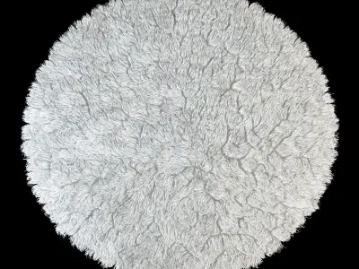 Carpet seven color 3D model