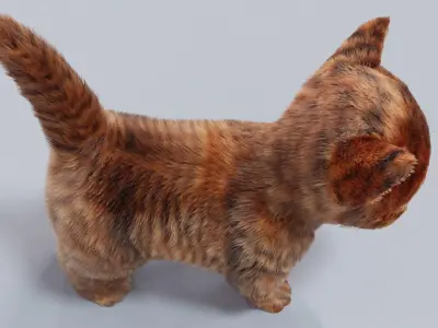Fur Cute Cat kitten 03 No Rig 3D model