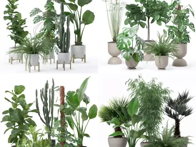 20 Photorealistic Flowers for Interiors - set 118 127 132 133 3D Model Collection