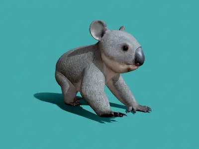 Koala Rigged 3D model