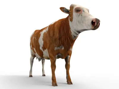 3D Cow Rigged cattle  Low-poly 3D model